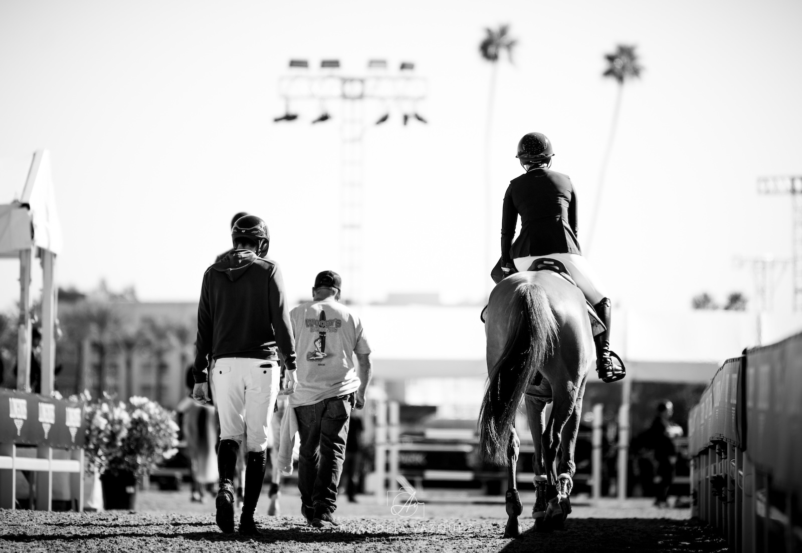 Three Vintage Horses team